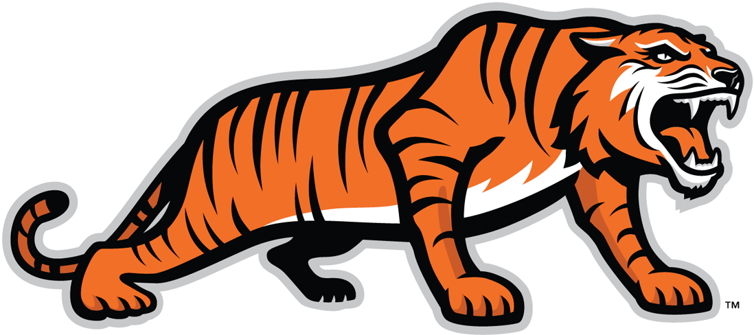 RIT Tigers 2004-Pres Alternate Logo v3 iron on transfers for fabric
